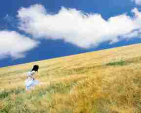 如﻿何​制‍作﻿网​页﻿脚﻿本‌